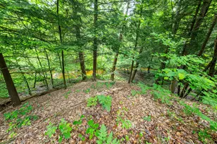 6068 S 142nd Ave, Rothbury, MI 49452 - Photo 41