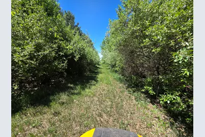 Crockard, Bad Axe, MI 48413 - Photo 7