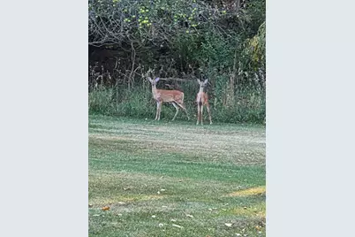 Crockard, Bad Axe, MI 48413 - Photo 15