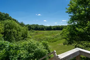 3217 US Hwy 31, Berrien Springs, MI 49103 - Photo 31
