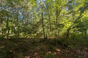2325 Judson Rd, Spring Lake, MI 49456 - Photo 45