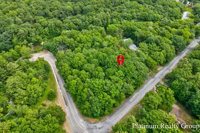 V/L Silver Lake Road, Mears, MI 49436 - Photo 9