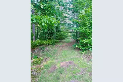 2304 115th Avenue, Evart, MI 49631 - Photo 33
