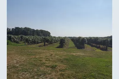 Vl Co Rd 374, Paw Paw, MI 49079 - Photo 7