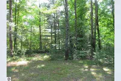 11052 N Hodenpyle Dam Road, Mesick, MI 49668 - Photo 17
