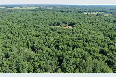 000 110th Ave Road, Mecosta, MI 49332 - Photo 13