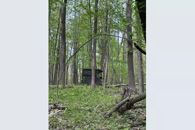 7672 E 48th Street, Chase, MI 49623 - Photo 33