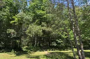 7672 E 48th St, Chase, MI 49623 - Photo 53