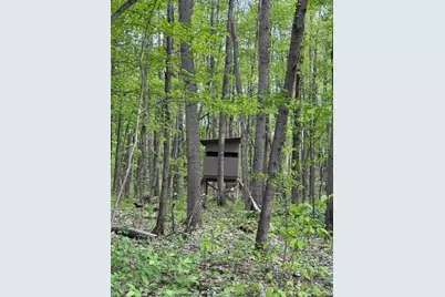 7672 E 48th Street, Chase, MI 49623 - Photo 47