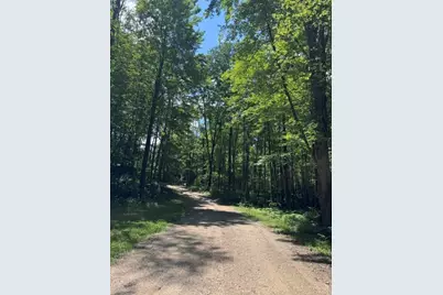 7672 E 48th Street, Chase, MI 49623 - Photo 55