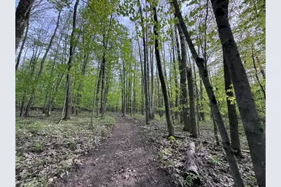 7672 E 48th Street, Chase, MI 49623 - Photo 37