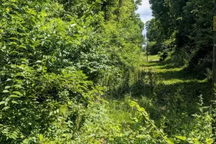5900 Springbrook Rd, Horton, MI 49246 - Photo 45