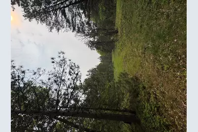 Parcel B Cherry Creek Trail, Grayling, MI 49738 - Photo 13