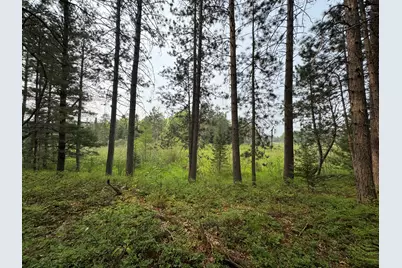 Parcel B Cherry Creek Trail, Grayling, MI 49738 - Photo 23