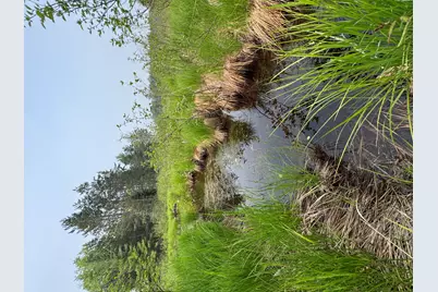 Parcel B Cherry Creek Trail, Grayling, MI 49738 - Photo 19