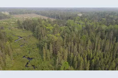 Parcel B Cherry Creek Trail, Grayling, MI 49738 - Photo 11