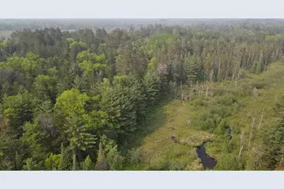 Parcel B Cherry Creek Trail, Grayling, MI 49738 - Photo 3