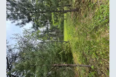 Parcel B Cherry Creek Trail, Grayling, MI 49738 - Photo 15
