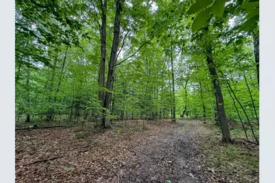 5070 W Sanborn Road, Lake City, MI 49651 - Photo 45
