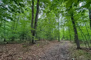 5070 W Sanborn Rd, Lake City, MI 49651 - Photo 45