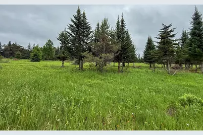 5070 W Sanborn Road, Lake City, MI 49651 - Photo 47