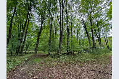 5070 W Sanborn Road, Lake City, MI 49651 - Photo 51