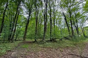5070 W Sanborn Rd, Lake City, MI 49651 - Photo 51