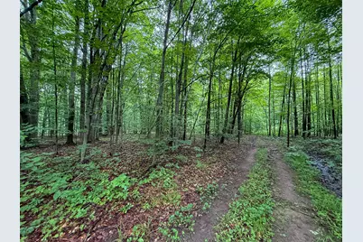 5070 W Sanborn Road, Lake City, MI 49651 - Photo 49