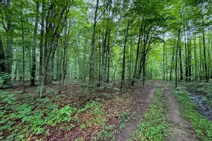5070 W Sanborn Rd, Lake City, MI 49651 - Photo 49