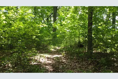 45th Ave, Barryton, MI 49305 - Photo 11