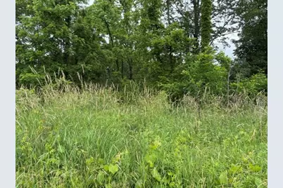 Vl 56th Street #Lot C, Fennville, MI 49408 - Photo 3