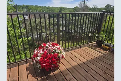 1141 Freesia Court, Ann Arbor, MI 48105 - Photo 35
