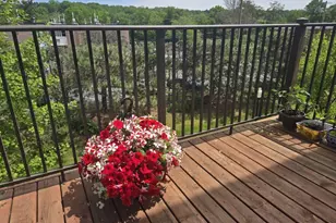 1141 Freesia Ct, Ann Arbor, MI 48105 - Photo 35