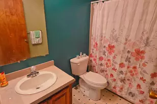 11905 Coman Rd, Waldron, MI 49288 - Photo 31