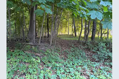 Allman Road, Concord, MI 49237 - Photo 5