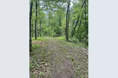 Parcel A W County Line Road, Greenville, MI 48838 - Photo 3