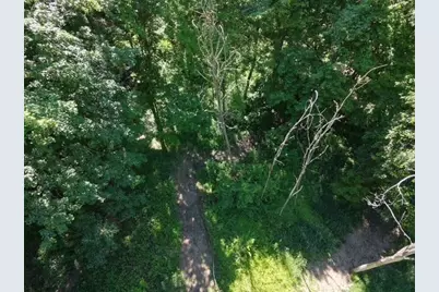 Parcel A W County Line Road, Greenville, MI 48838 - Photo 13