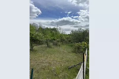Parcel A W County Line Road, Greenville, MI 48838 - Photo 11