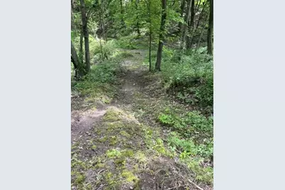 Parcel A W County Line Road, Greenville, MI 48838 - Photo 7