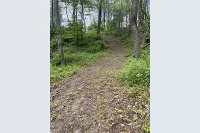 Parcel A W County Line Road, Greenville, MI 48838 - Photo 5