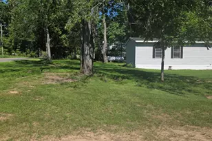 6505 E Dewey Rd, Fountain, MI 49410 - Photo 3