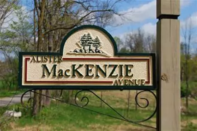 15321 Alister Mackenzie Avenue, Augusta, MI 49012 - Photo 17