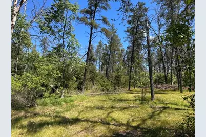 164 W 10 Mile, Irons, MI 49644 - Photo 25