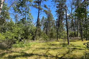 164 W 10 Mile, Irons, MI 49644 - Photo 25