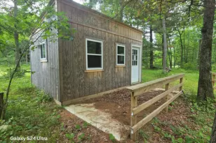 10513 N Peacock Trail, Irons, MI 49644 - Photo 1