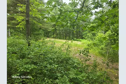 10513 N Peacock Trail, Irons, MI 49644 - Photo 5