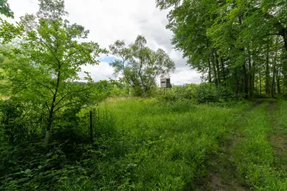 50.75 Weiser Road, Niles, MI 49120 - Photo 53