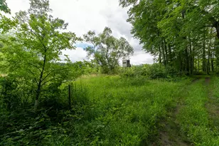 50 75 Weiser Rd, Niles, MI 49120 - Photo 53