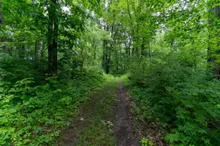 50 75 Weiser Rd, Niles, MI 49120 - Photo 43