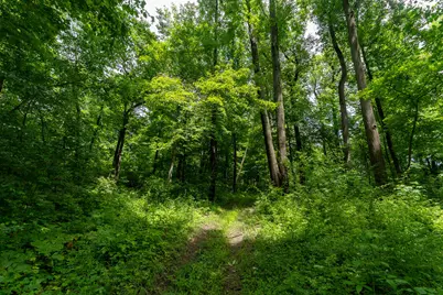 50.75 Weiser Road, Niles, MI 49120 - Photo 45
